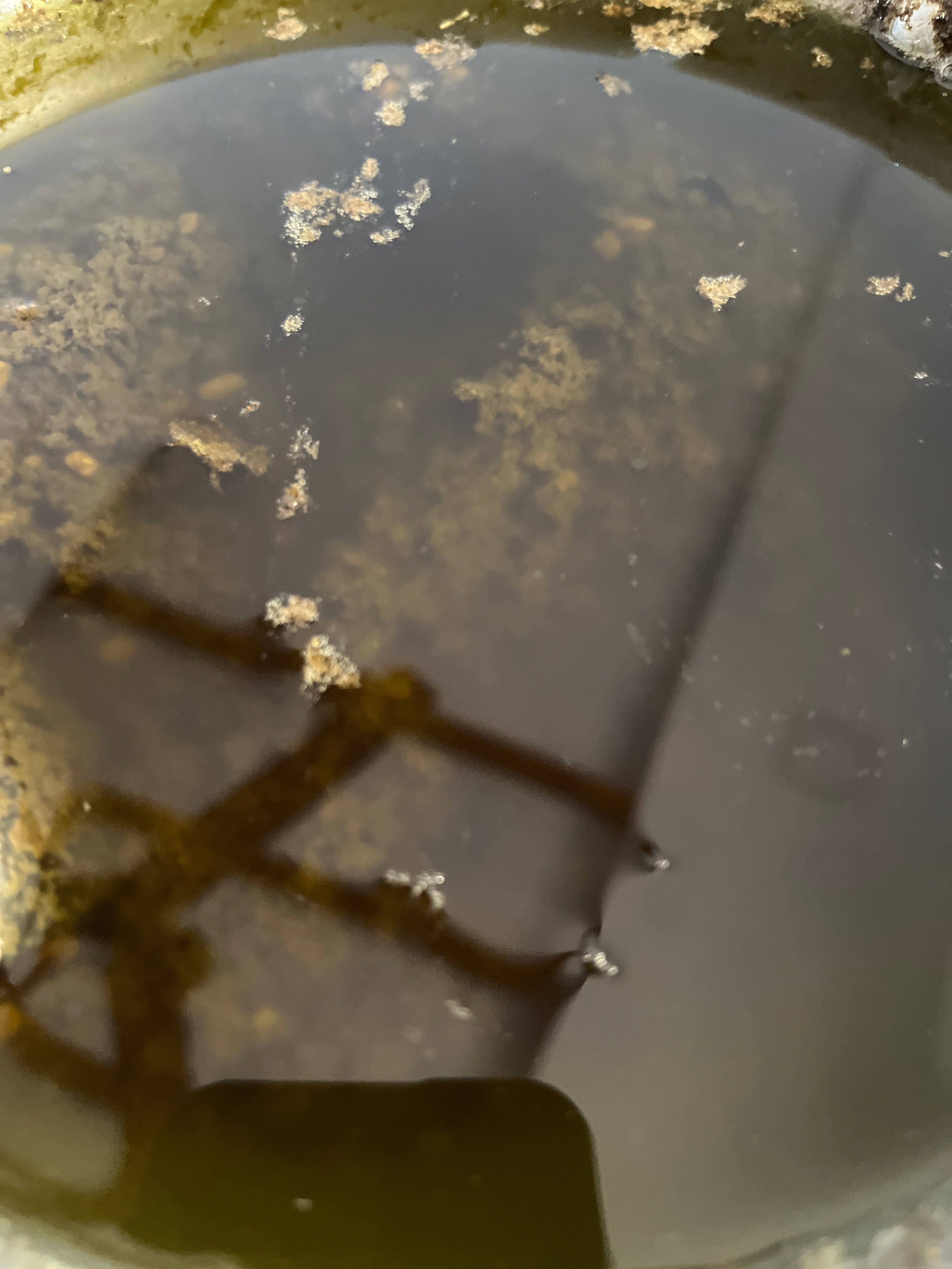 Hair Oil - Antidandruff